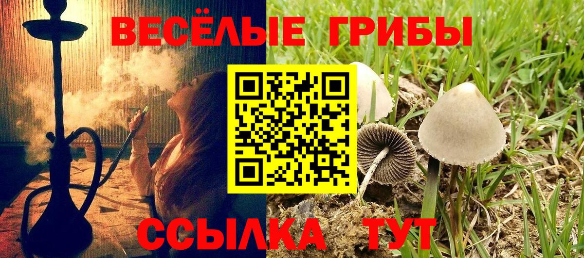 Псилоцибиновые грибы мицелий  Псилоцибиновые грибы прущие грибы  Ковров  Вход с VPN 