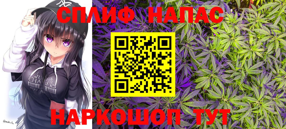 Ковров  Конопля семена  Бошки Шишки планчик  Вход с VPN  Канабис конопля 